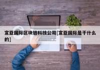 宣亚国际区块链科技公司[宣亚国际是干什么的]